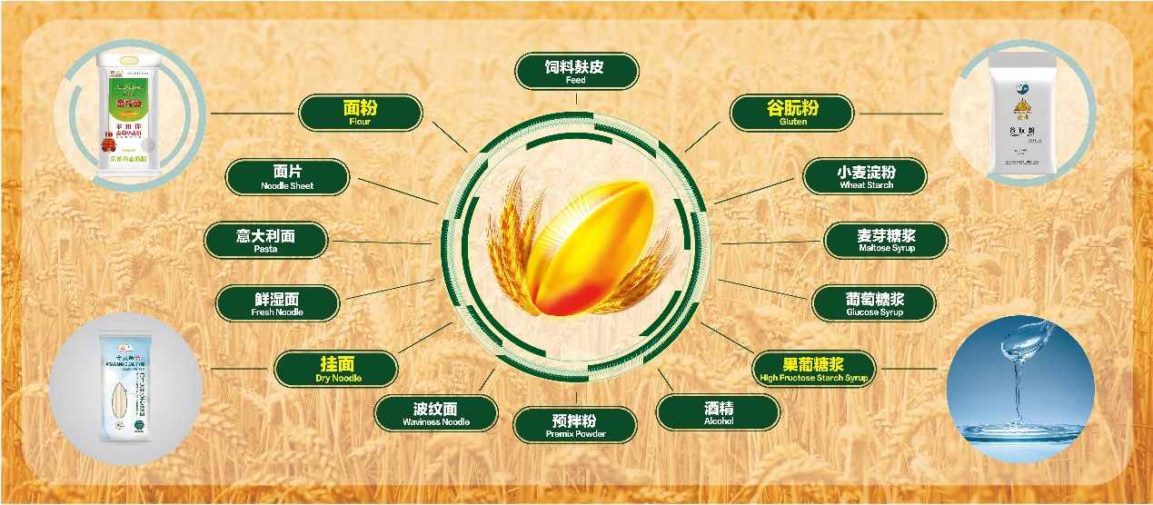 百事达淀粉